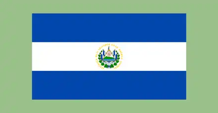 Test de Jerga Salvadoreña. Sólo si tienes chispas tendrás éxito.