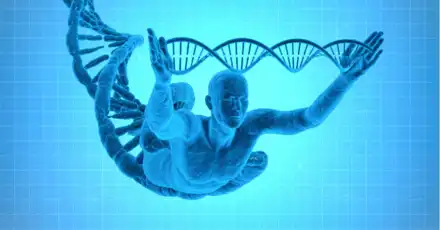 冷知识系列 - 人体篇