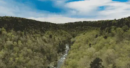 Southern US Slang Quiz - Are you an Expert in Southern US Slang?